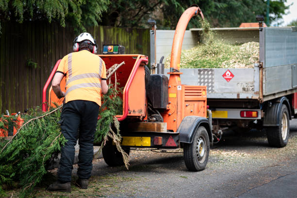 Tree Removal for Businesses in Cresson, PA